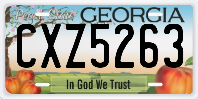 GA license plate CXZ5263