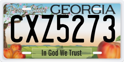 GA license plate CXZ5273