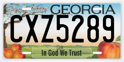GA license plate CXZ5289