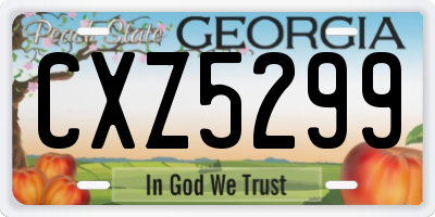 GA license plate CXZ5299