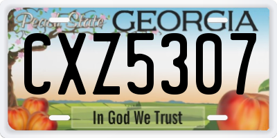 GA license plate CXZ5307