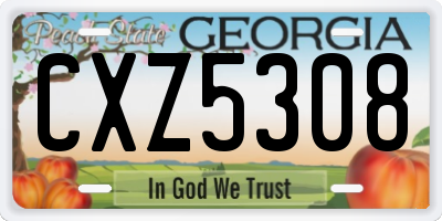 GA license plate CXZ5308