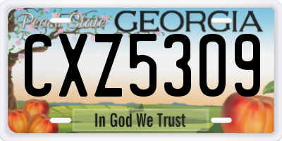 GA license plate CXZ5309