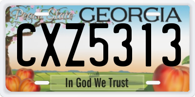 GA license plate CXZ5313