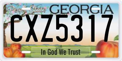 GA license plate CXZ5317