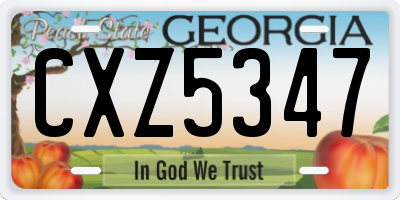 GA license plate CXZ5347