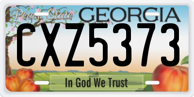 GA license plate CXZ5373
