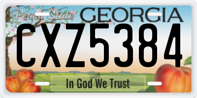 GA license plate CXZ5384