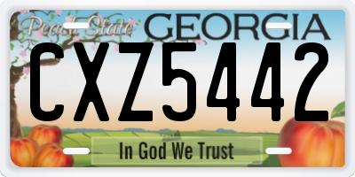 GA license plate CXZ5442