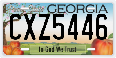 GA license plate CXZ5446