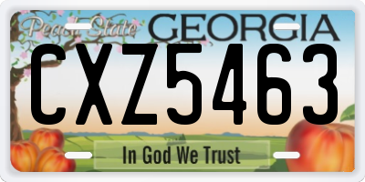 GA license plate CXZ5463