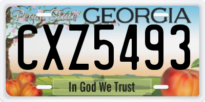 GA license plate CXZ5493