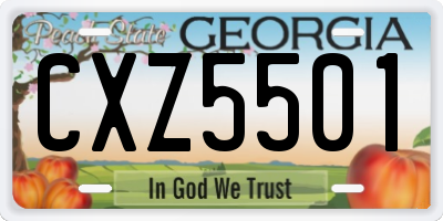 GA license plate CXZ5501