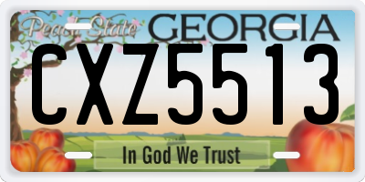 GA license plate CXZ5513