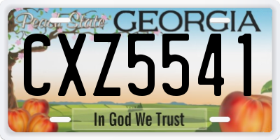 GA license plate CXZ5541