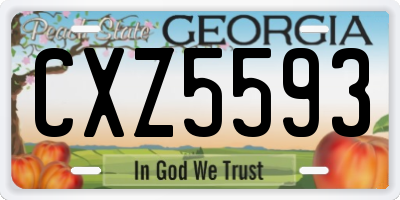 GA license plate CXZ5593