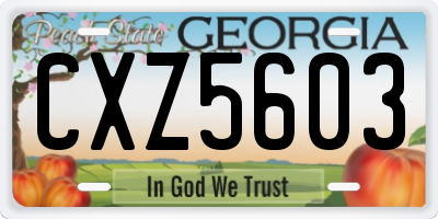 GA license plate CXZ5603