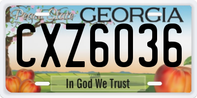 GA license plate CXZ6036