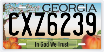 GA license plate CXZ6239