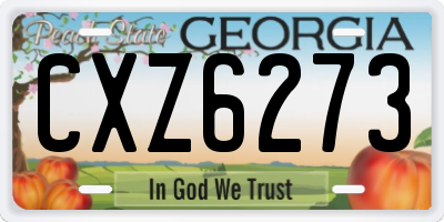 GA license plate CXZ6273