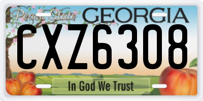 GA license plate CXZ6308