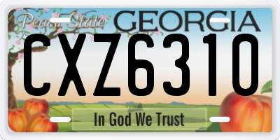 GA license plate CXZ6310