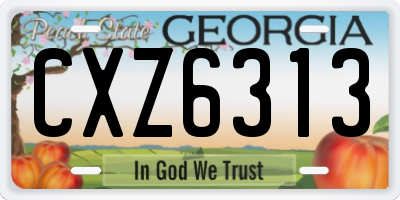 GA license plate CXZ6313