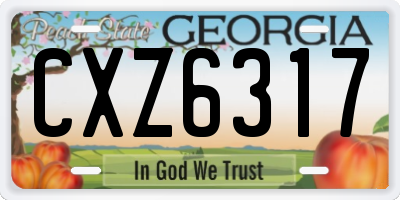 GA license plate CXZ6317