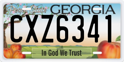 GA license plate CXZ6341