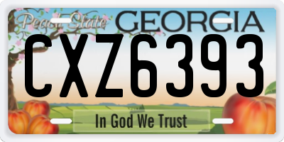 GA license plate CXZ6393