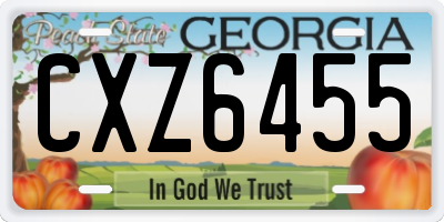 GA license plate CXZ6455