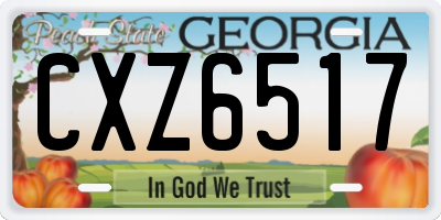 GA license plate CXZ6517