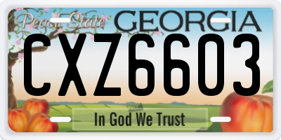 GA license plate CXZ6603