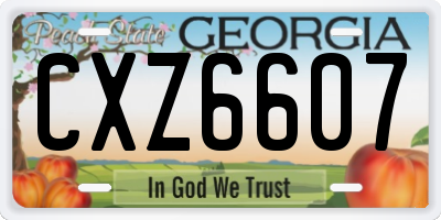GA license plate CXZ6607