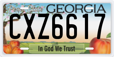 GA license plate CXZ6617