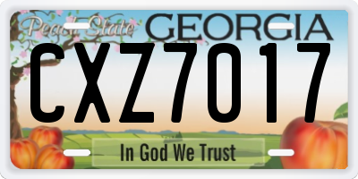 GA license plate CXZ7017