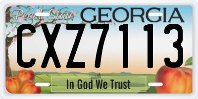 GA license plate CXZ7113