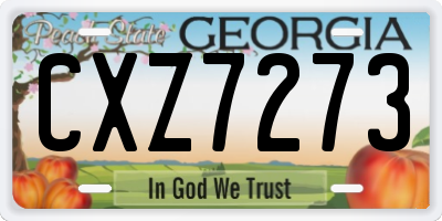 GA license plate CXZ7273