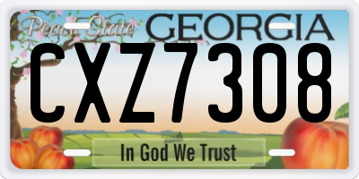 GA license plate CXZ7308
