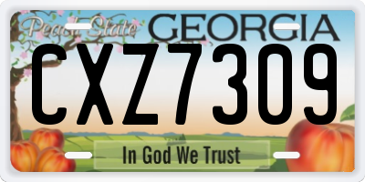 GA license plate CXZ7309