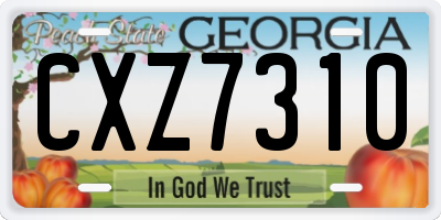 GA license plate CXZ7310