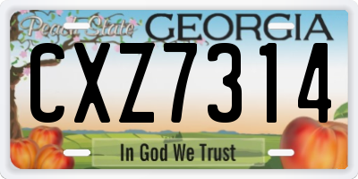 GA license plate CXZ7314