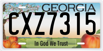 GA license plate CXZ7315