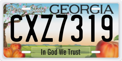 GA license plate CXZ7319