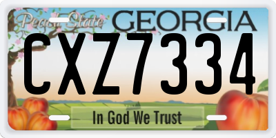 GA license plate CXZ7334