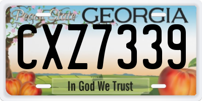 GA license plate CXZ7339