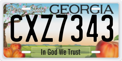 GA license plate CXZ7343