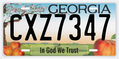 GA license plate CXZ7347