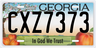 GA license plate CXZ7373