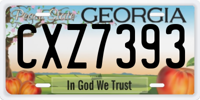 GA license plate CXZ7393